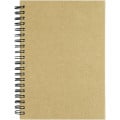 Mendel recycled notebook