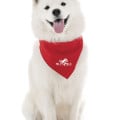 Pet Bandana Small