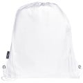 Adventure recycled insulated drawstring bag 9L