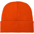 Boreas beanie with patch