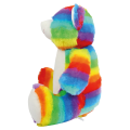 Rainbow Bear