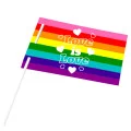 Pride Rainbow Flag and Stick