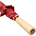 Alina 23" auto open recycled PET umbrella