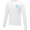 Zenon men’s crewneck sweater