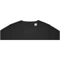 Zenon men’s crewneck sweater