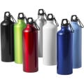 Oregon 770 ml aluminium water bottle with carabiner