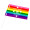 Pride Rainbow Flag and Stick