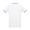 THC ROME WH. Men's Polo Shirt with contrast colour trim and buttons. White