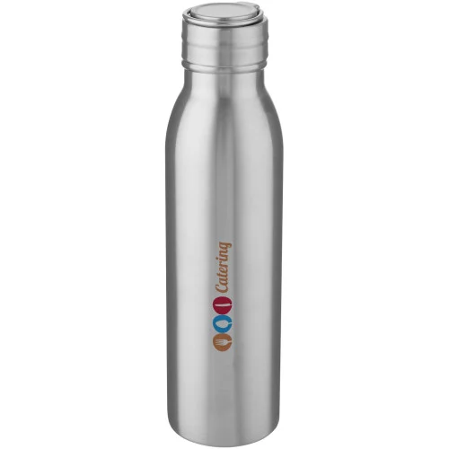Harper 700 ml stainless steel water bottle with metal loop